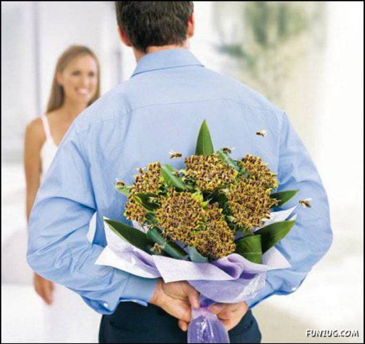 Pix With A Touch Of Humor