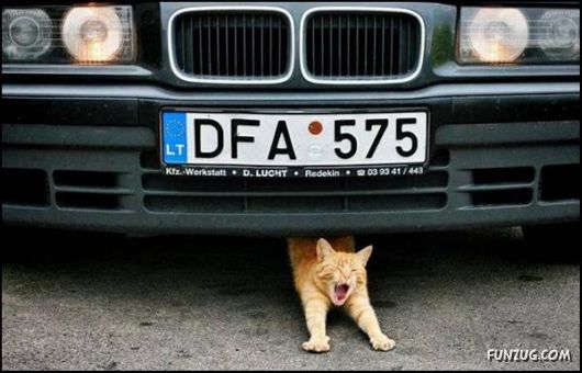 Pix With A Touch Of Humor