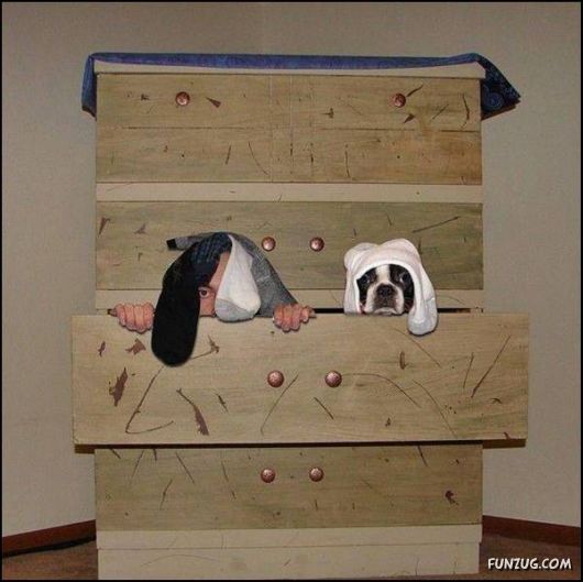 Pix With A Touch Of Humor