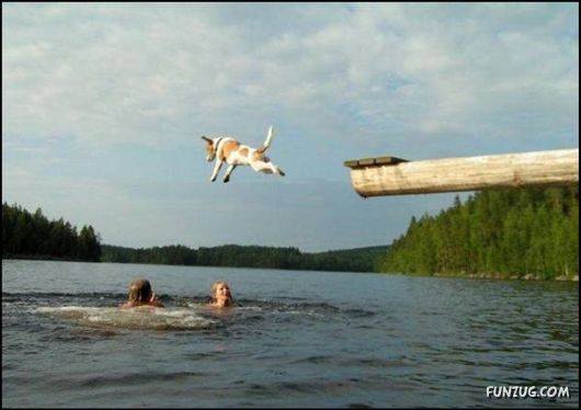 Pix With A Touch Of Humor