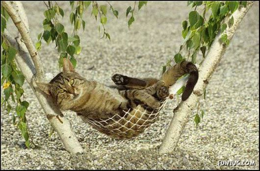 Pix With A Touch Of Humor