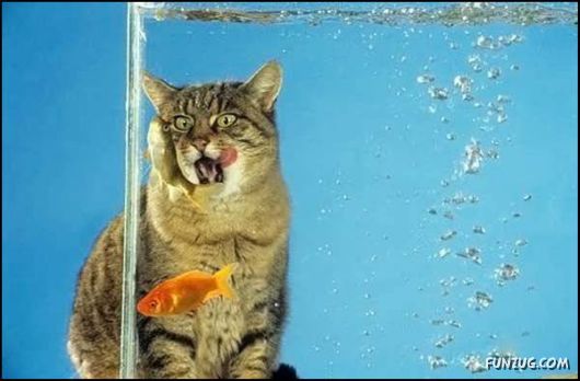 Pix With A Touch Of Humor