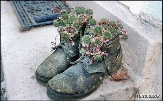 Pix With A Touch Of Humor