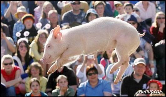 Pix With A Touch Of Humor