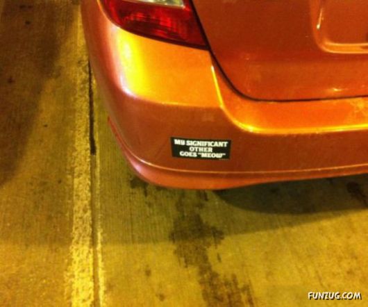 Single And Single Forever