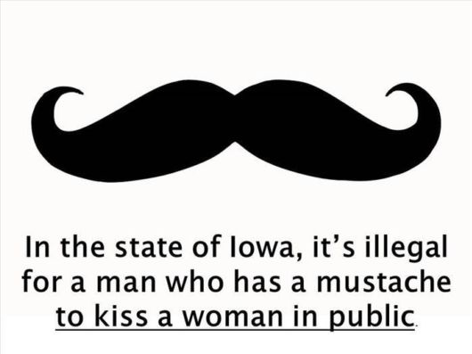 15 Rather Strange Facts About The USA 