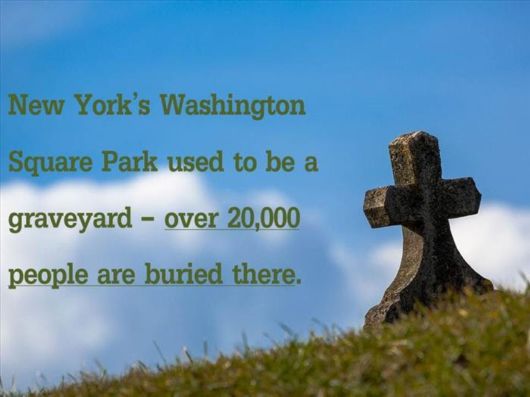 15 Rather Strange Facts About The USA 