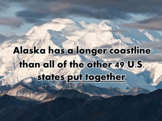 15 Rather Strange Facts About The USA 