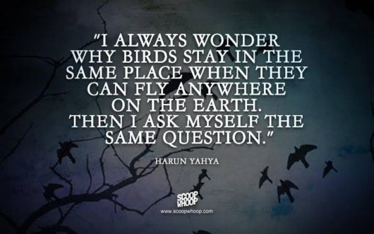 Look At Life In A Whole New Way