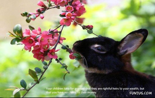 Take Time To Enjoy Life Before Its Too Late