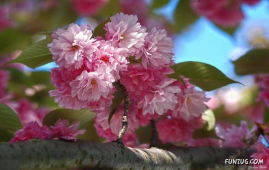 Take Time To Enjoy Life Before Its Too Late