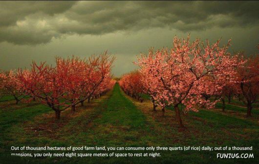 Take Time To Enjoy Life Before Its Too Late