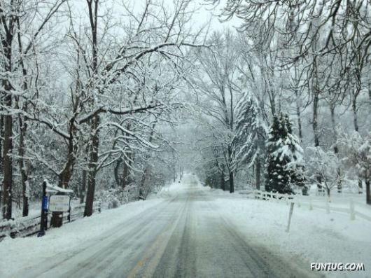 It's Been An Eventful Winter