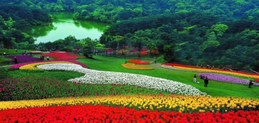 What Can Nature Teach Us About Being Happy