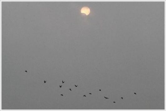 Beauty Of The Solar Eclipse