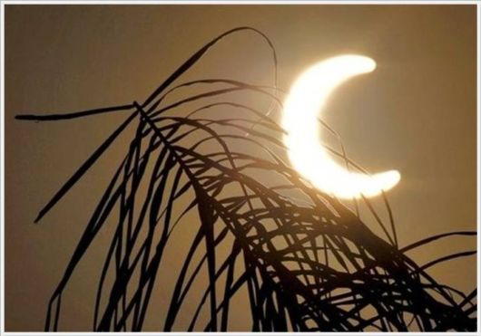 Beauty Of The Solar Eclipse