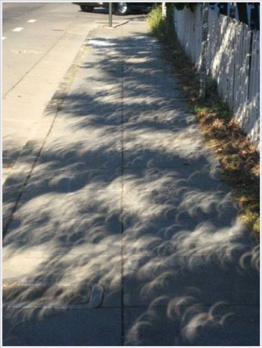 Beauty Of The Solar Eclipse