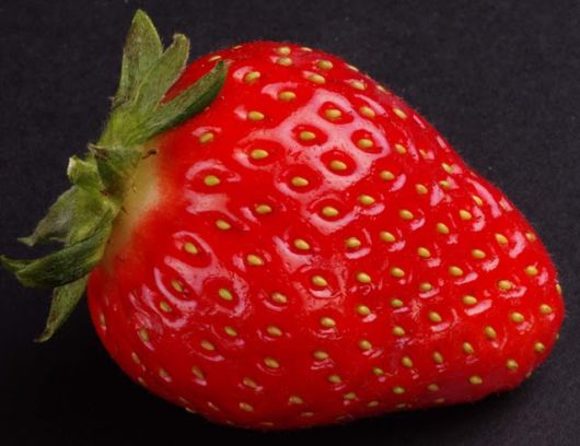 Lovely Strawberry Fields Photography