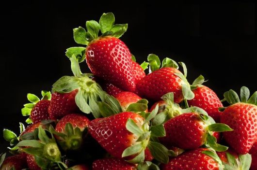 Lovely Strawberry Fields Photography