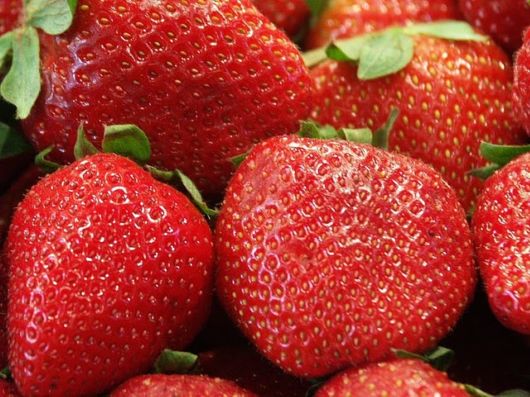 Lovely Strawberry Fields Photography