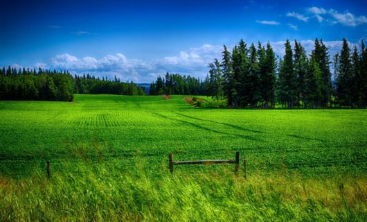 A Trip To Alberta, Canada