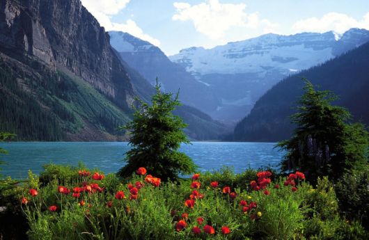 A Trip To Alberta, Canada