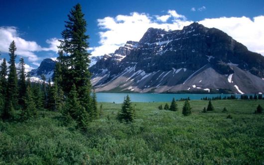 A Trip To Alberta, Canada