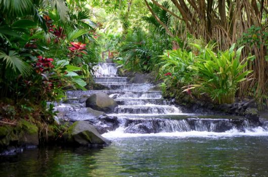 A Trip To Costa Rica, USA 