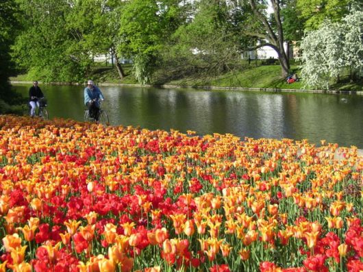Ooty - Beautiful Hill Station In South India