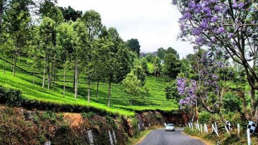 Ooty - Beautiful Hill Station In South India
