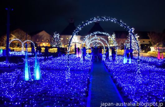 Winter Illuminations At Nabana no Sato