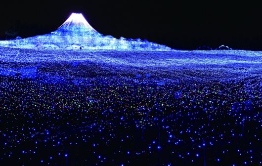 Winter Illuminations At Nabana no Sato