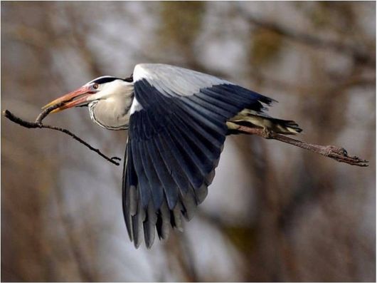 Beautiful Creatures Excellent Photography 