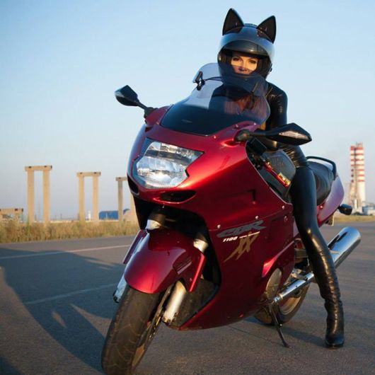 Awesome Cat Helmets With Ears